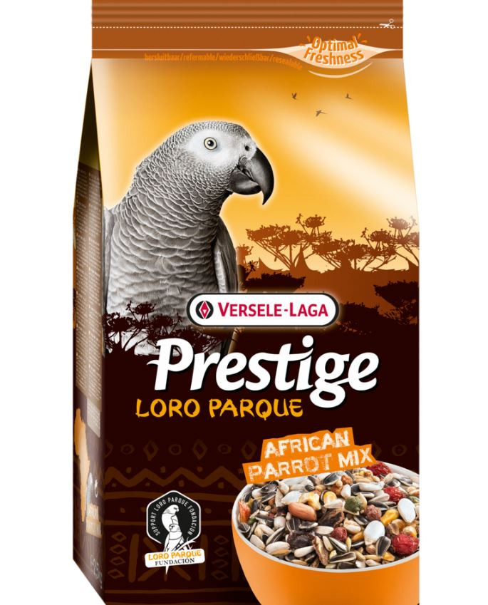 Prestige Premium African Parrot