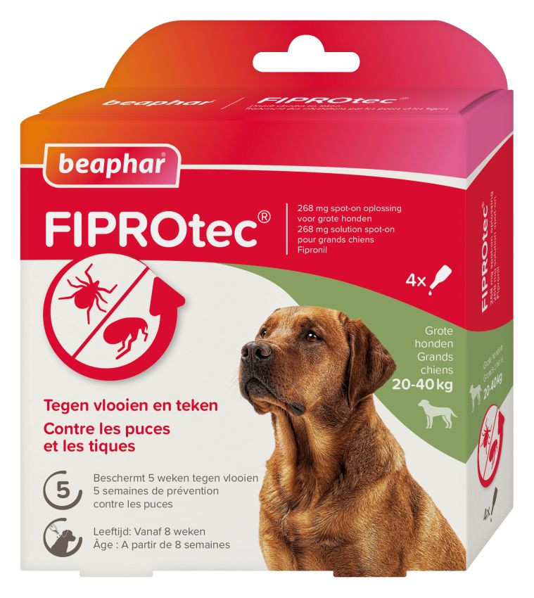 Beaphar Fiprotec Spot-on Flohmittel für den Hund (20 - 40 kg)