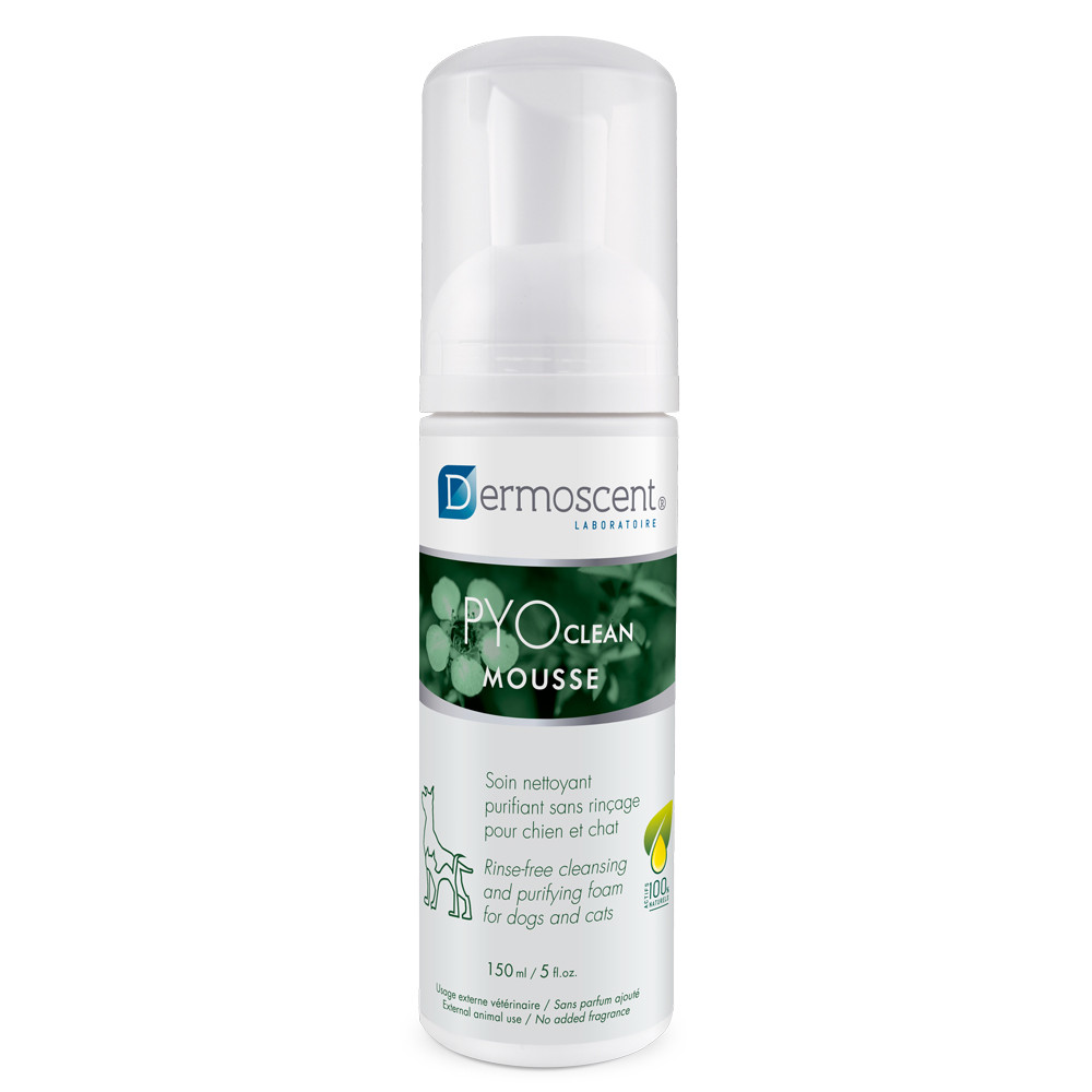 Dermoscent Pyoclean mousse voor hond en kat