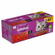 Whiskas 1+  Classic Selection in Sauce Katzen-Nassfutter Multipack (85 g)