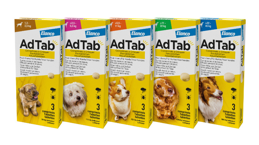 AdTab kauwtabletten voor de hond