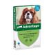 Advantage Nr. 100 Flohmittel (4 bis 10 kg) Hund