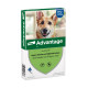 Advantage Nr. 400 Flohmittel Hund (25 - 40 kg)