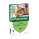 Advantage Nr. 80 Flohmittel (ab 4 kg) Katze