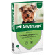 Advantage Nr. 40, Flohmittel (bis 4 Kg) Hund