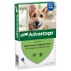 Advantage Nr. 400 Flohmittel Hund (25 - 40 kg)